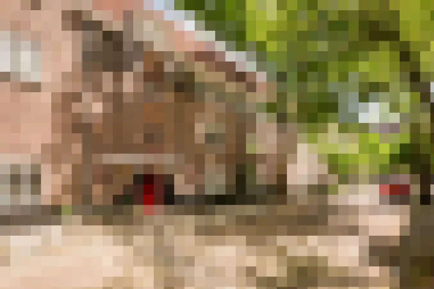 Simsonstraat 3 1 Amsterdam thumbnail 20