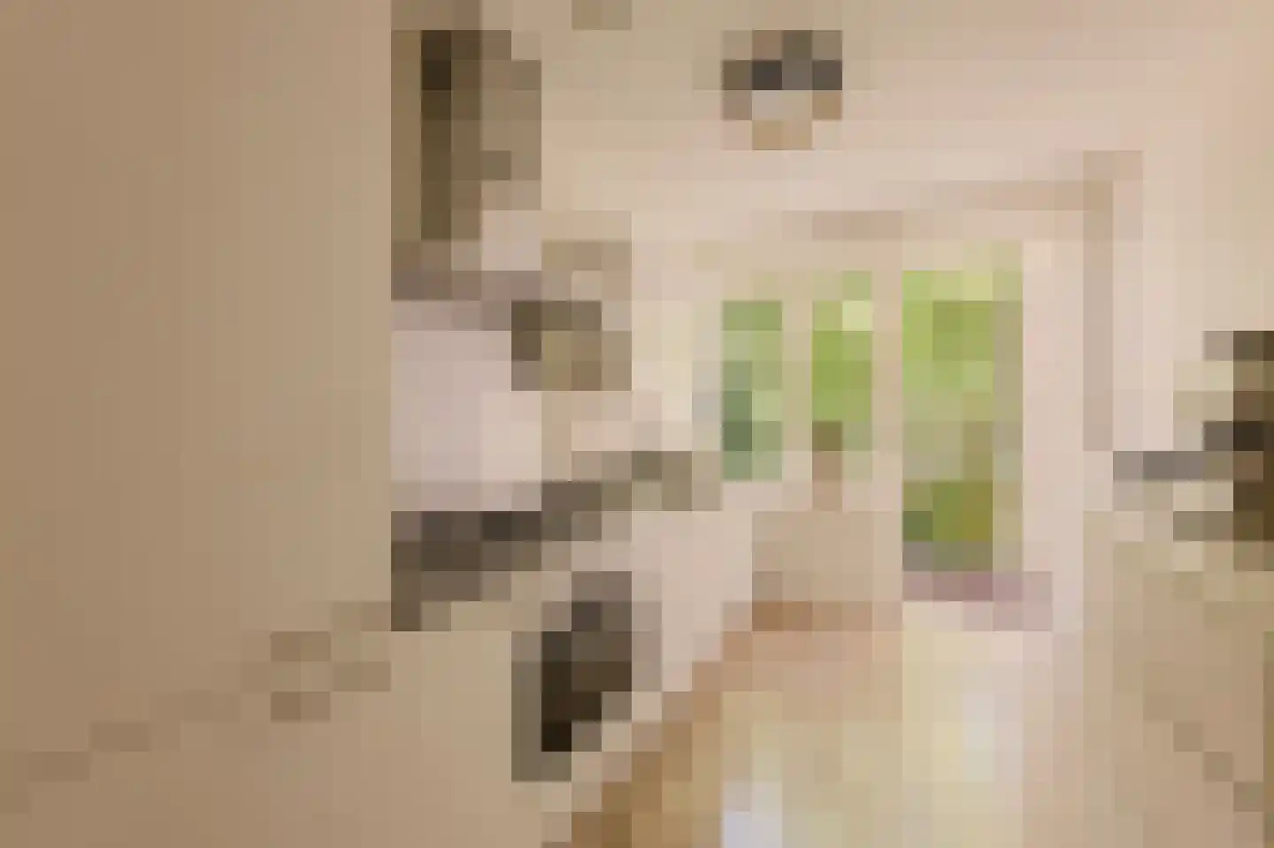 Simsonstraat 3 1 Amsterdam thumbnail 6