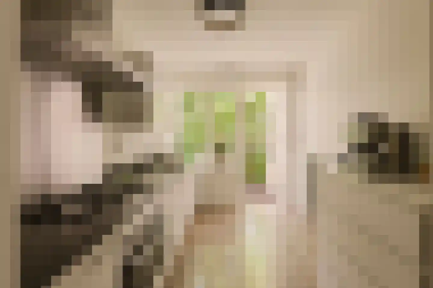 Simsonstraat 3 1 Amsterdam thumbnail 7