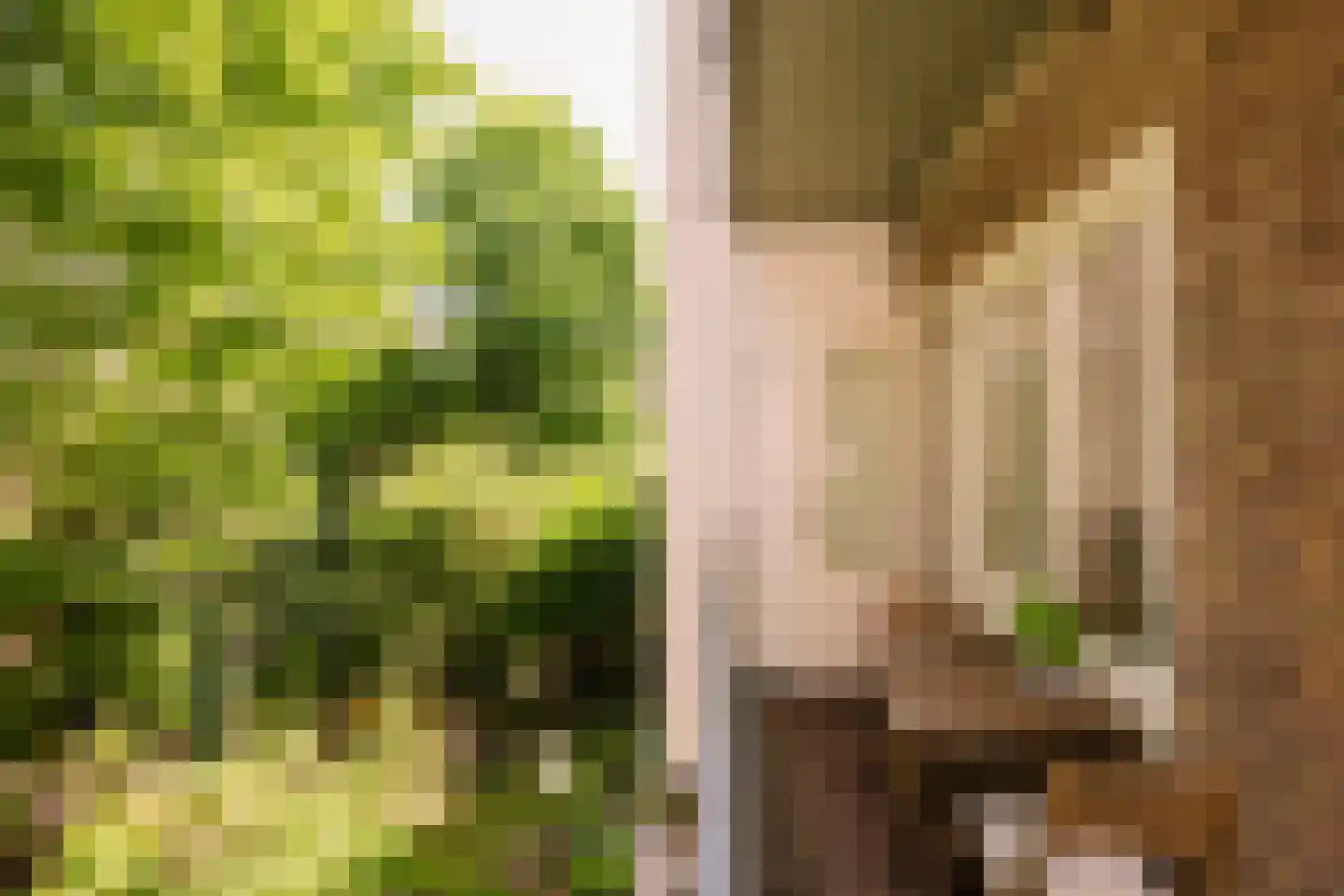 Simsonstraat 3 1 Amsterdam thumbnail 8