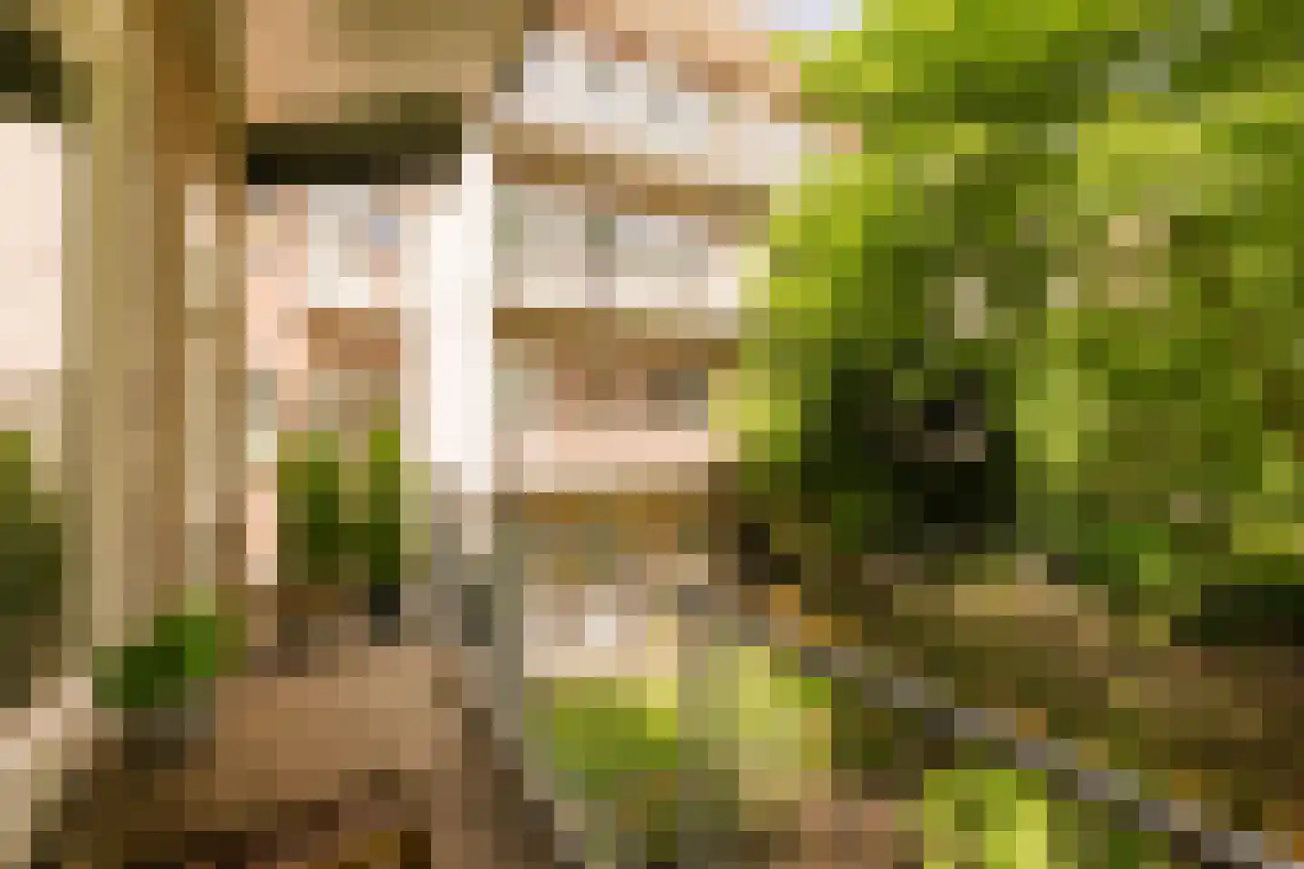 Simsonstraat 3 1 Amsterdam thumbnail 9