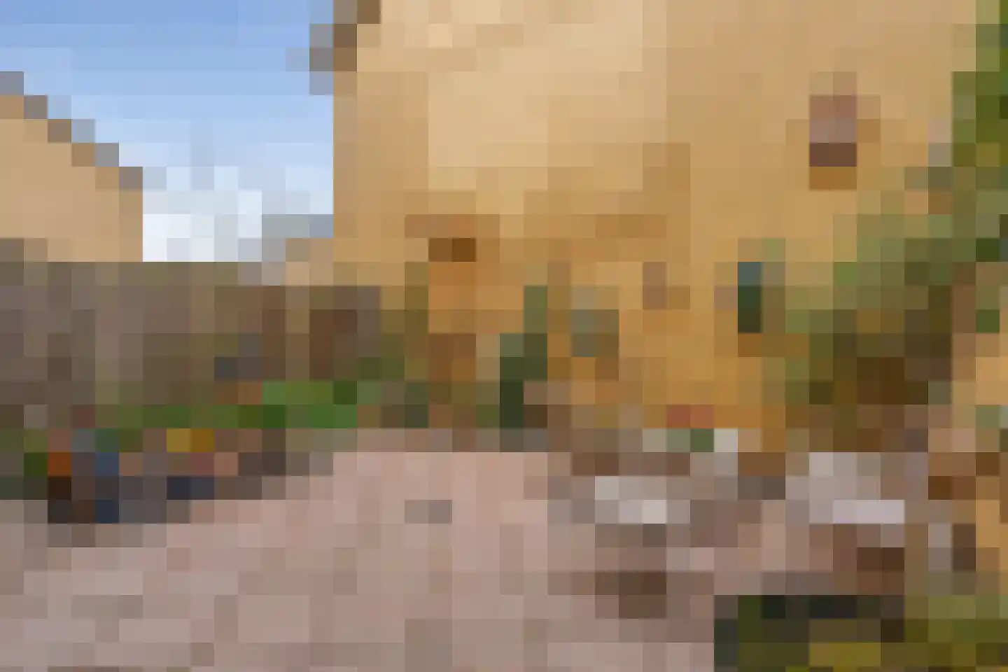 Simultaanstraat 26 Utrecht thumbnail 15
