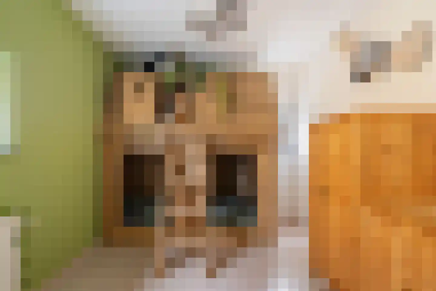 Simultaanstraat 26 Utrecht thumbnail 28
