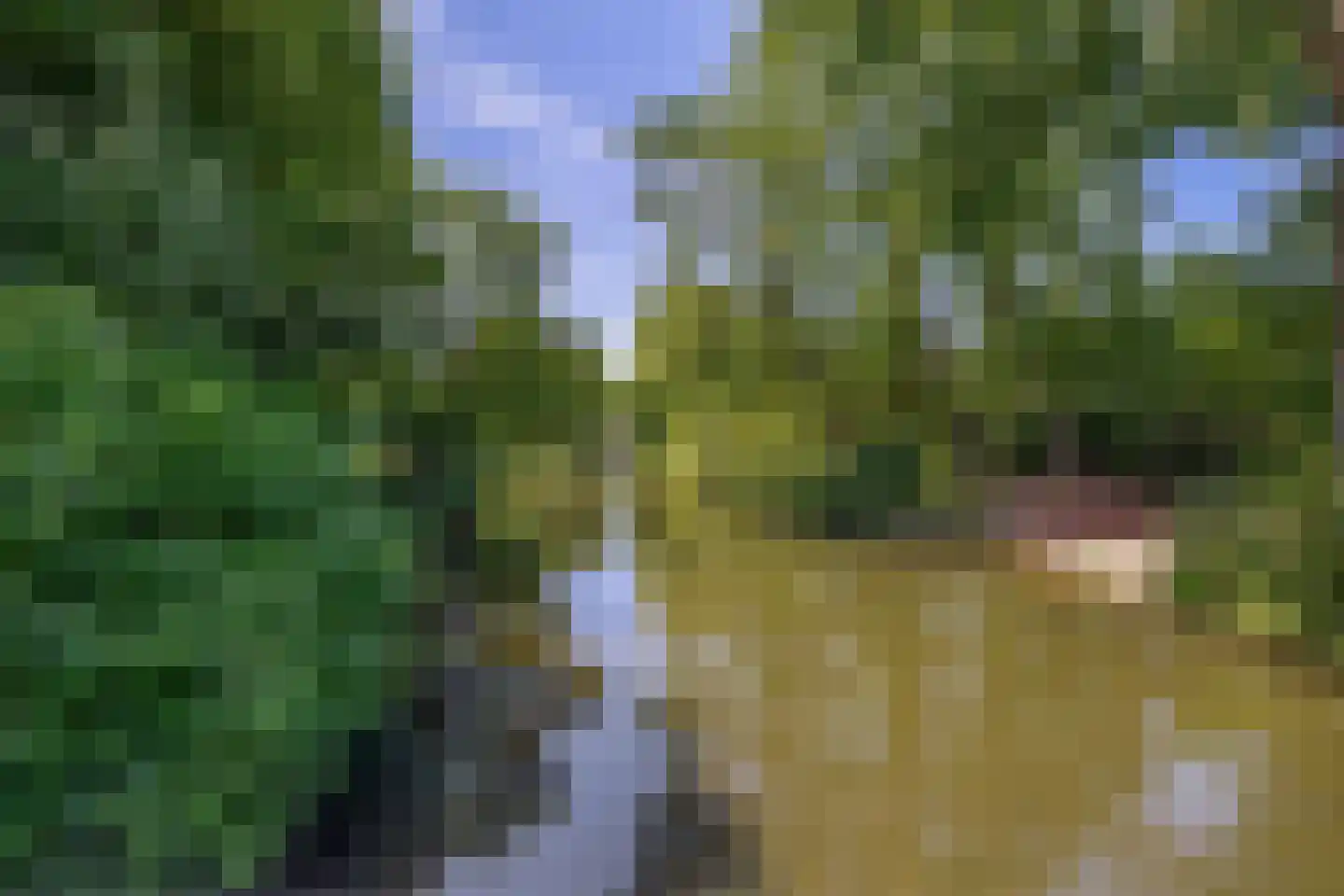 Simultaanstraat 26 Utrecht thumbnail 50