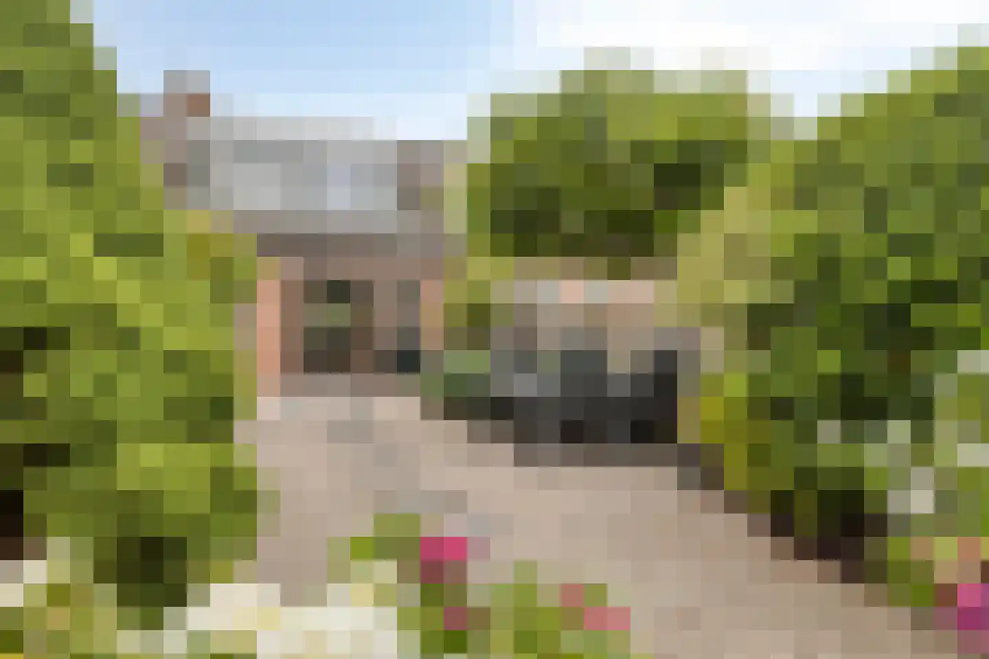 Sinaasappelgaard 14 Spijkenisse thumbnail 16