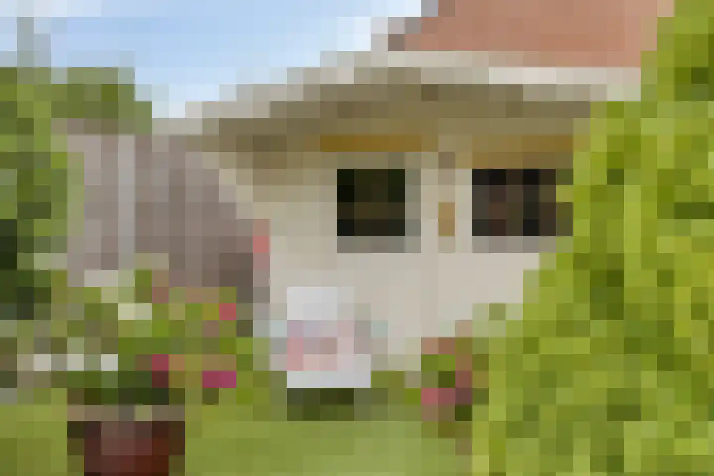 Sinaasappelgaard 14 Spijkenisse thumbnail 17