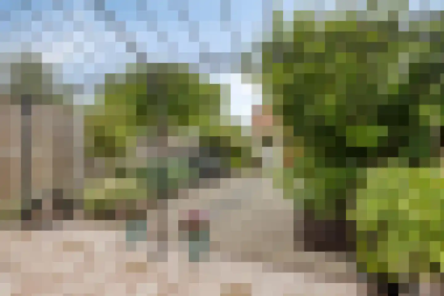 Sinaasappelgaard 14 Spijkenisse thumbnail 18