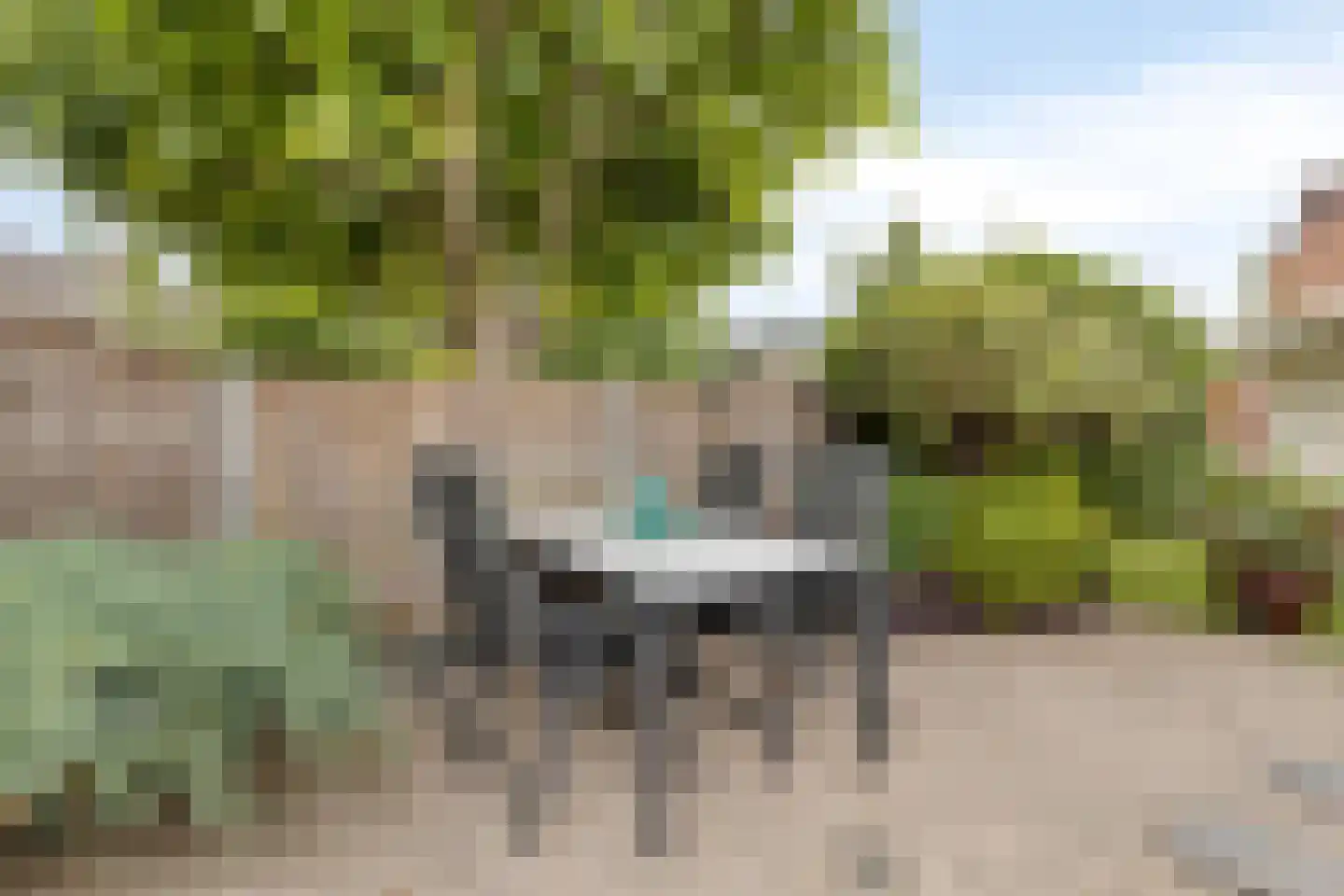 Sinaasappelgaard 14 Spijkenisse thumbnail 20