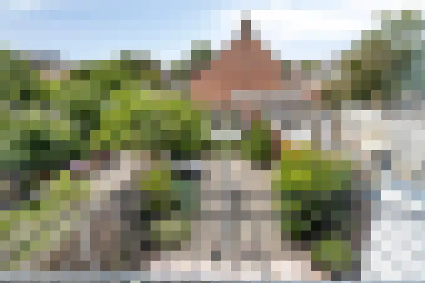 Sinaasappelgaard 14 Spijkenisse thumbnail 21