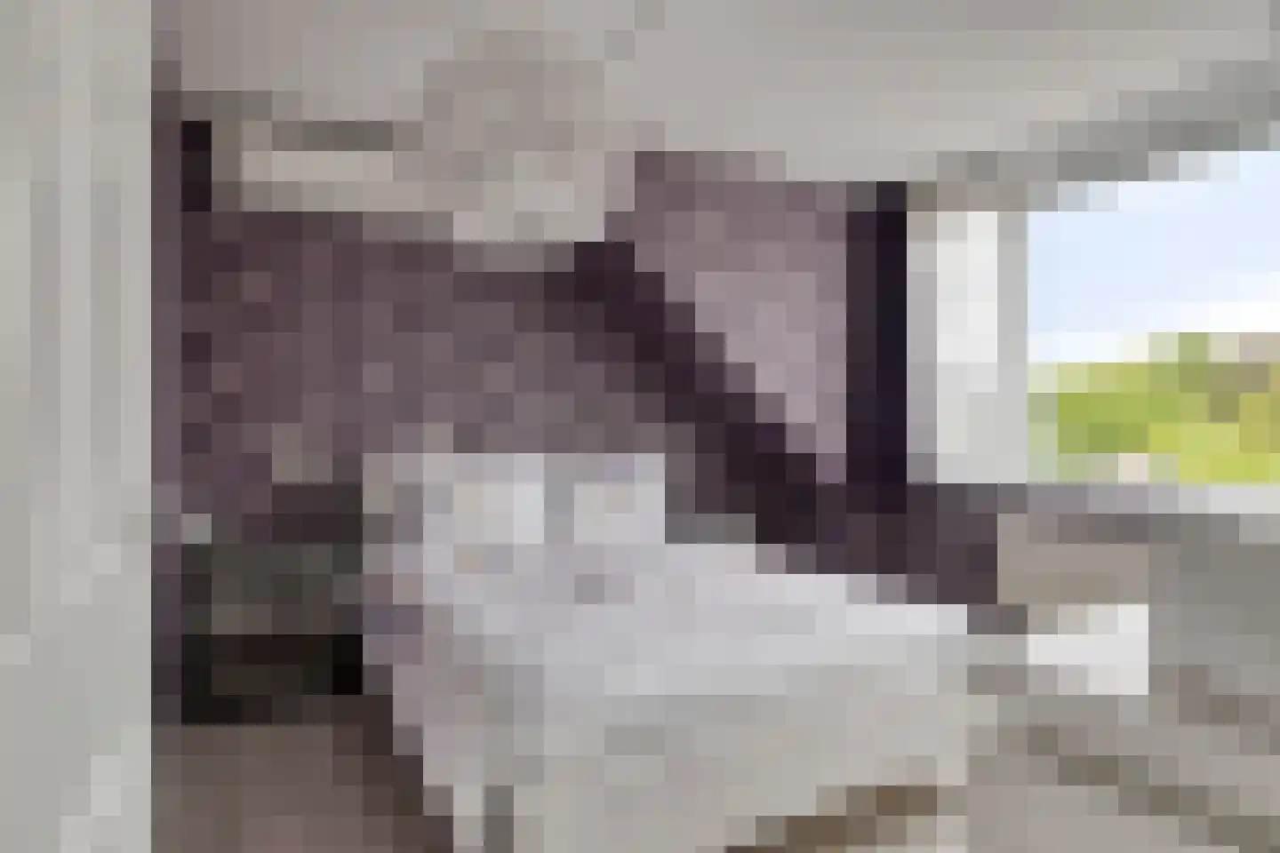 Sinaasappelgaard 14 Spijkenisse thumbnail 23
