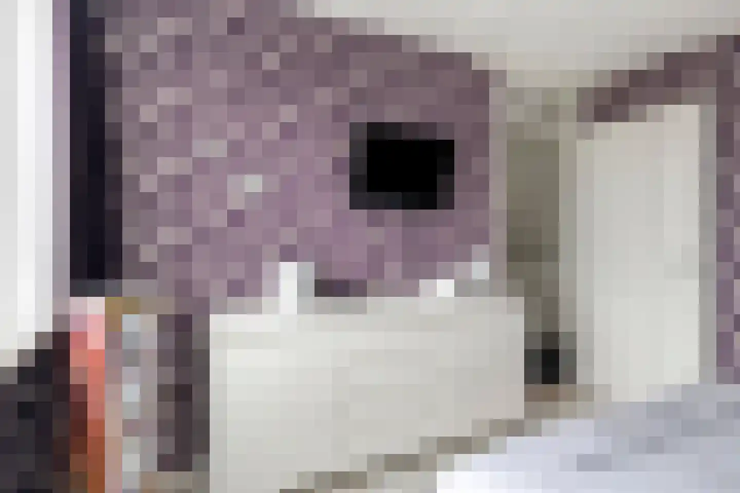Sinaasappelgaard 14 Spijkenisse thumbnail 24