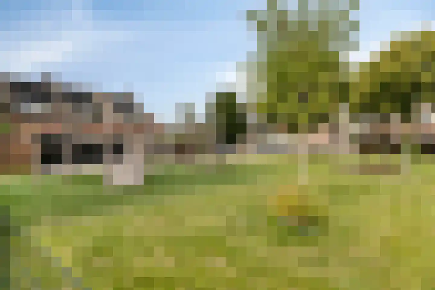 Sinaasappelgaard 14 Spijkenisse thumbnail 33