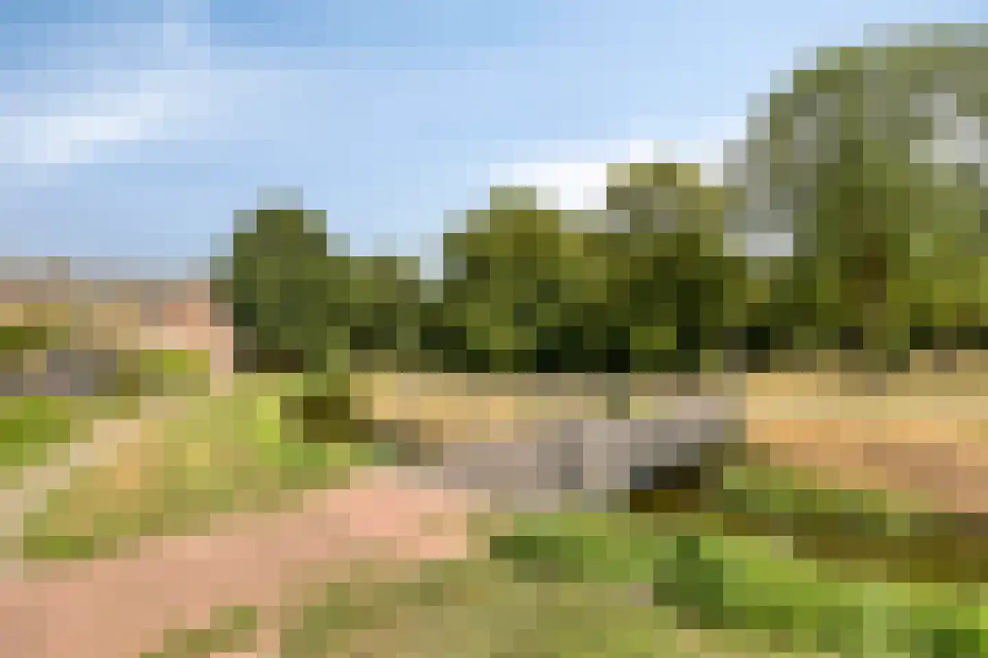 Sinaasappelgaard 14 Spijkenisse thumbnail 34