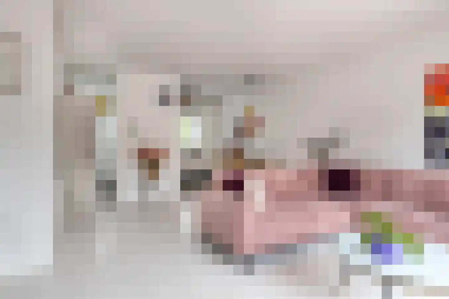 Sinaasappelgaard 14 Spijkenisse thumbnail 8