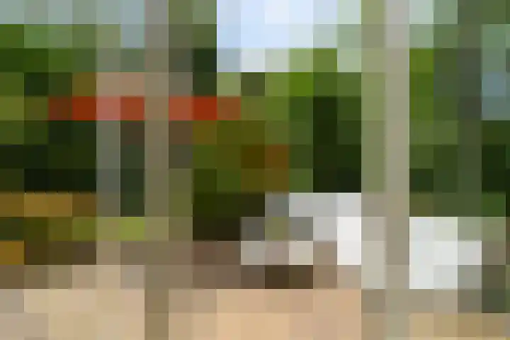 Sinaasappelstraat 130 in Den Haag