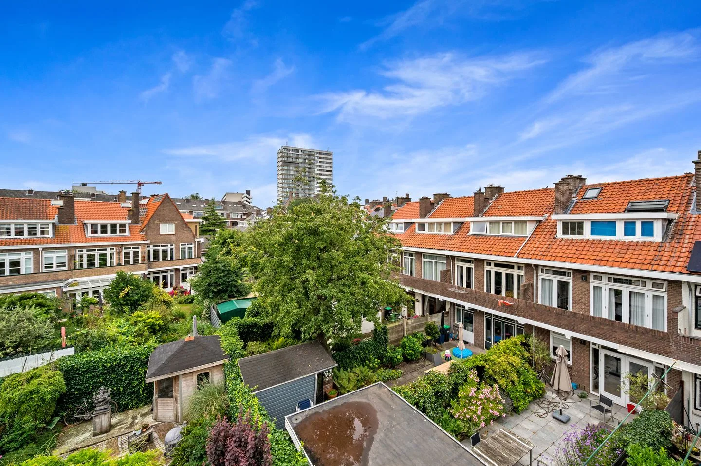 Sinaasappelstraat 152 Den Haag thumbnail 40