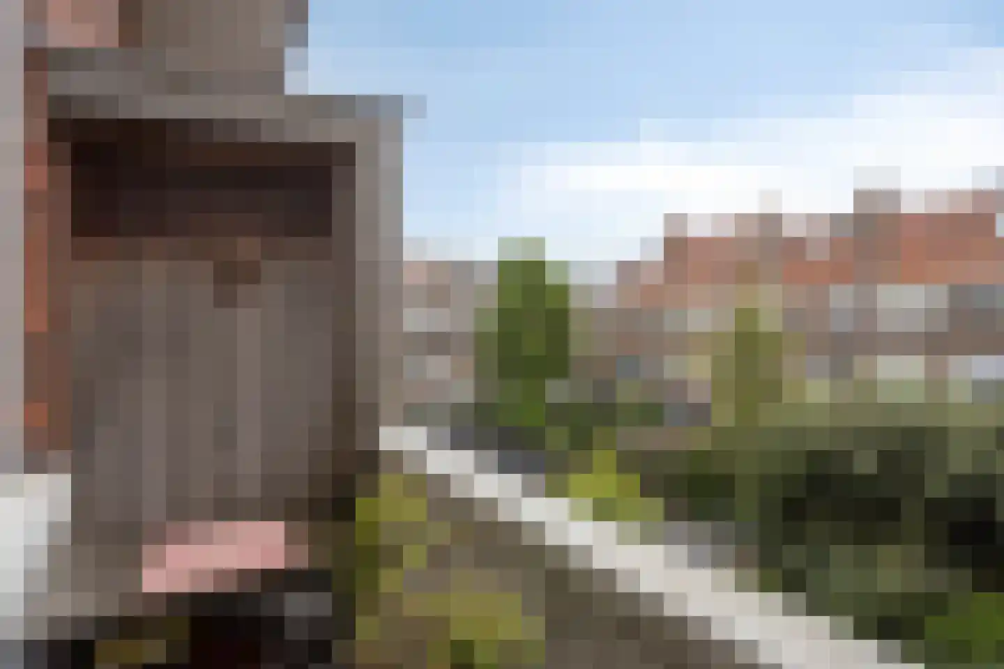 Sinaasappelstraat 22 Den Haag thumbnail 27
