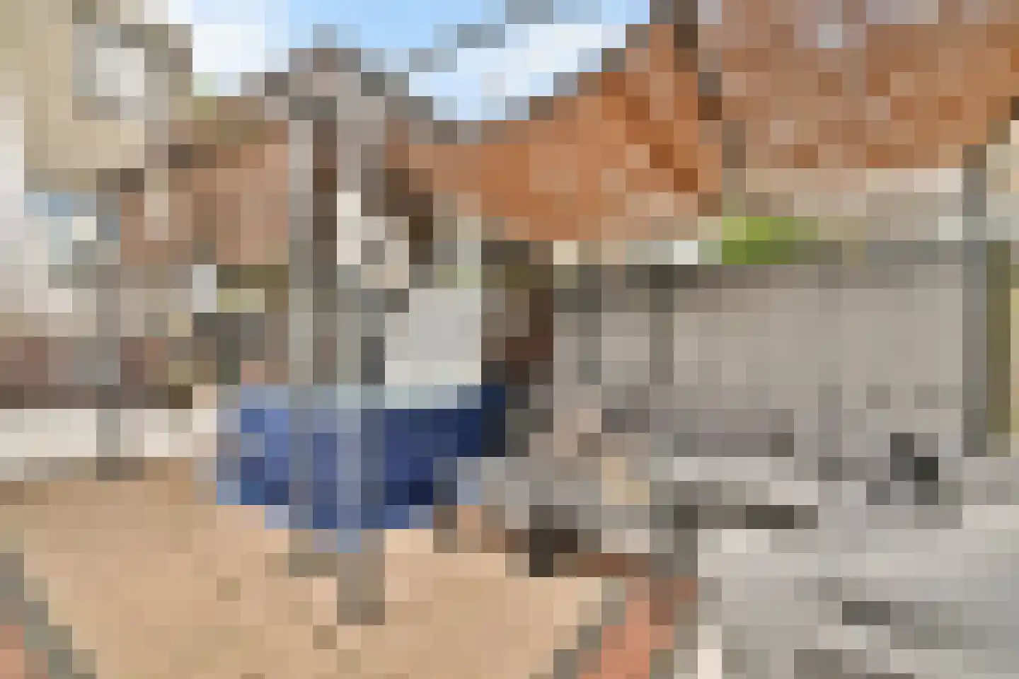 Sinaasappelstraat 48 Amsterdam thumbnail 11