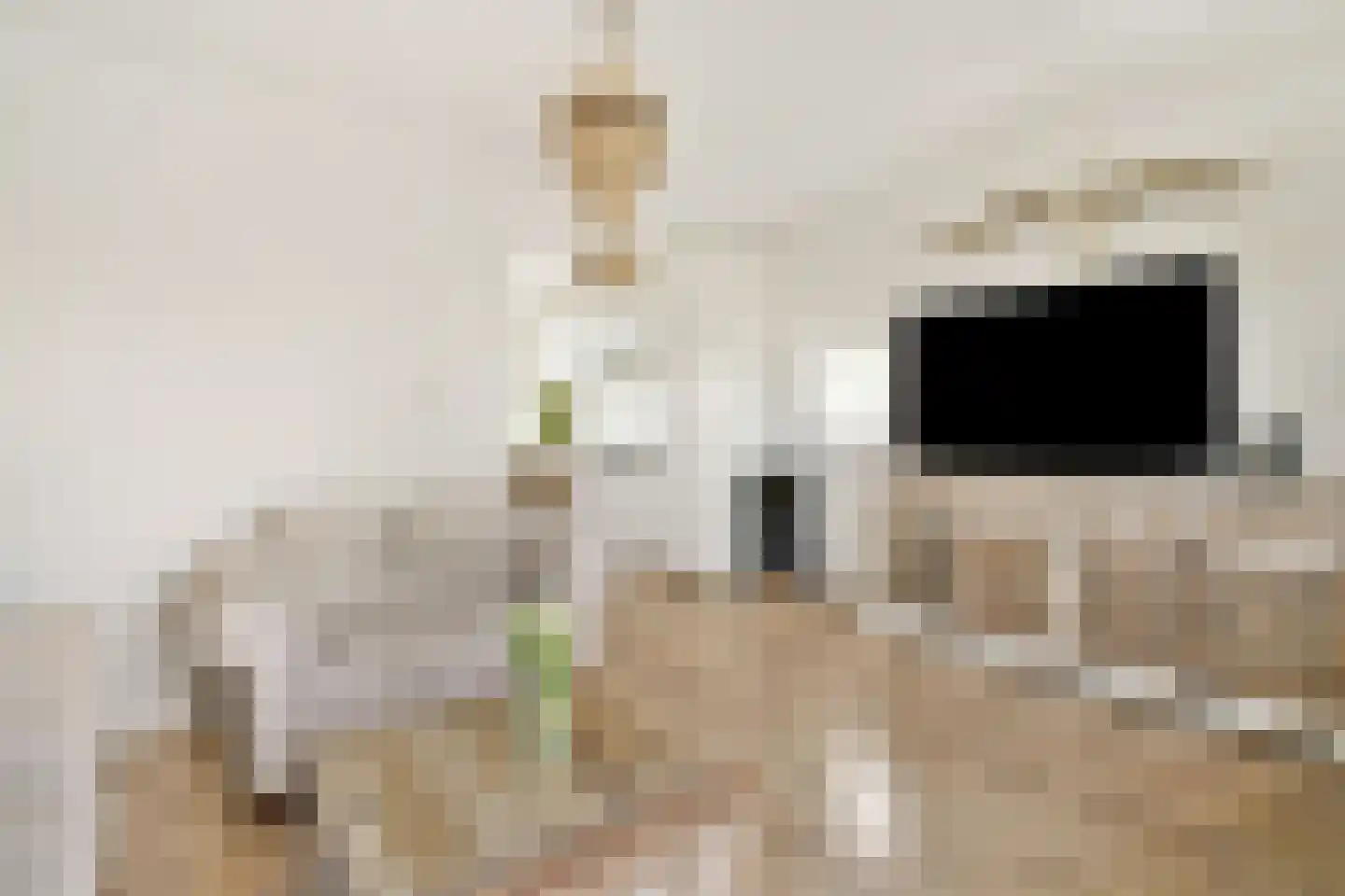 Sinaasappelstraat 48 Amsterdam thumbnail 5