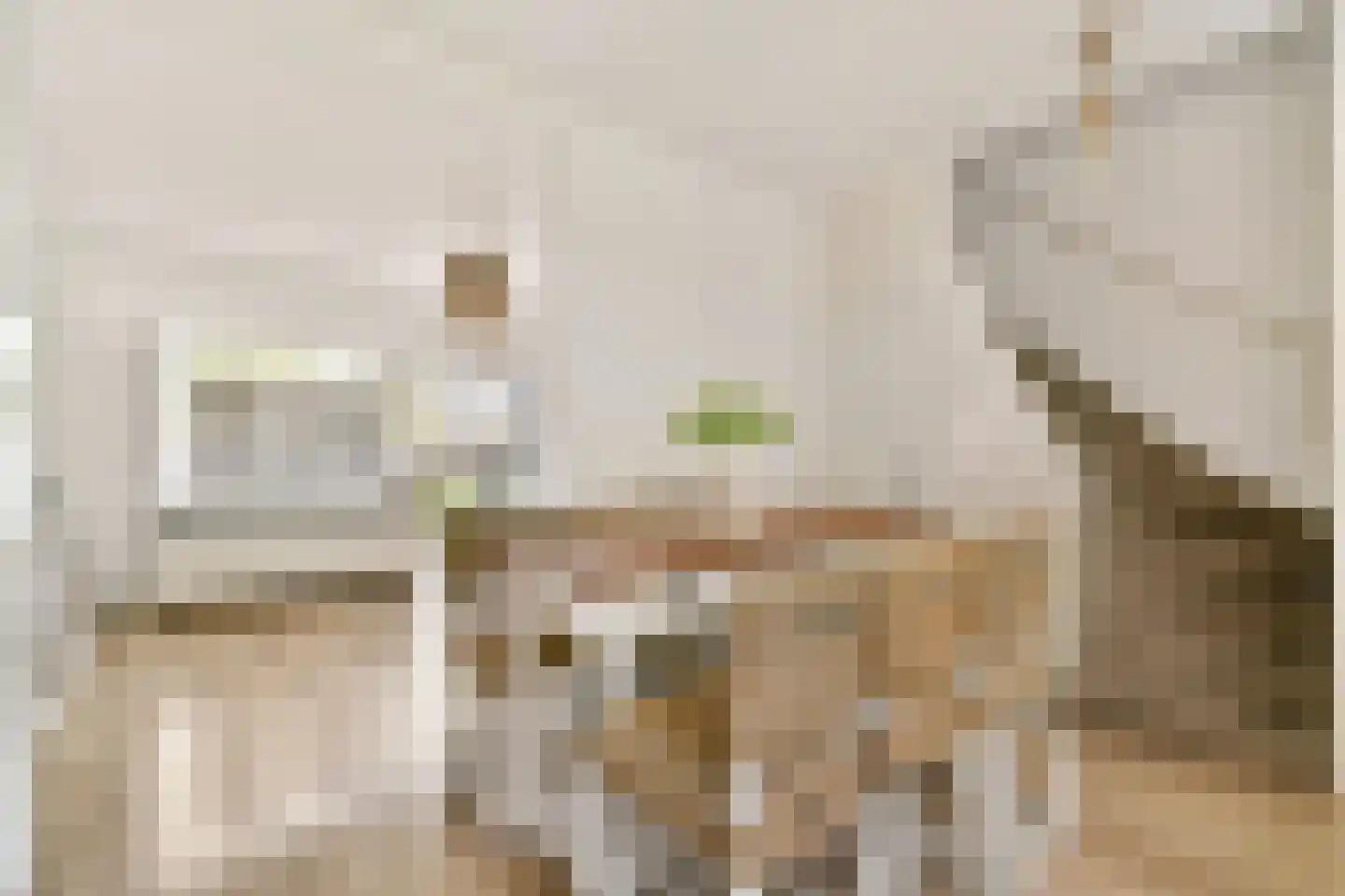 Sinaasappelstraat 48 Amsterdam thumbnail 8