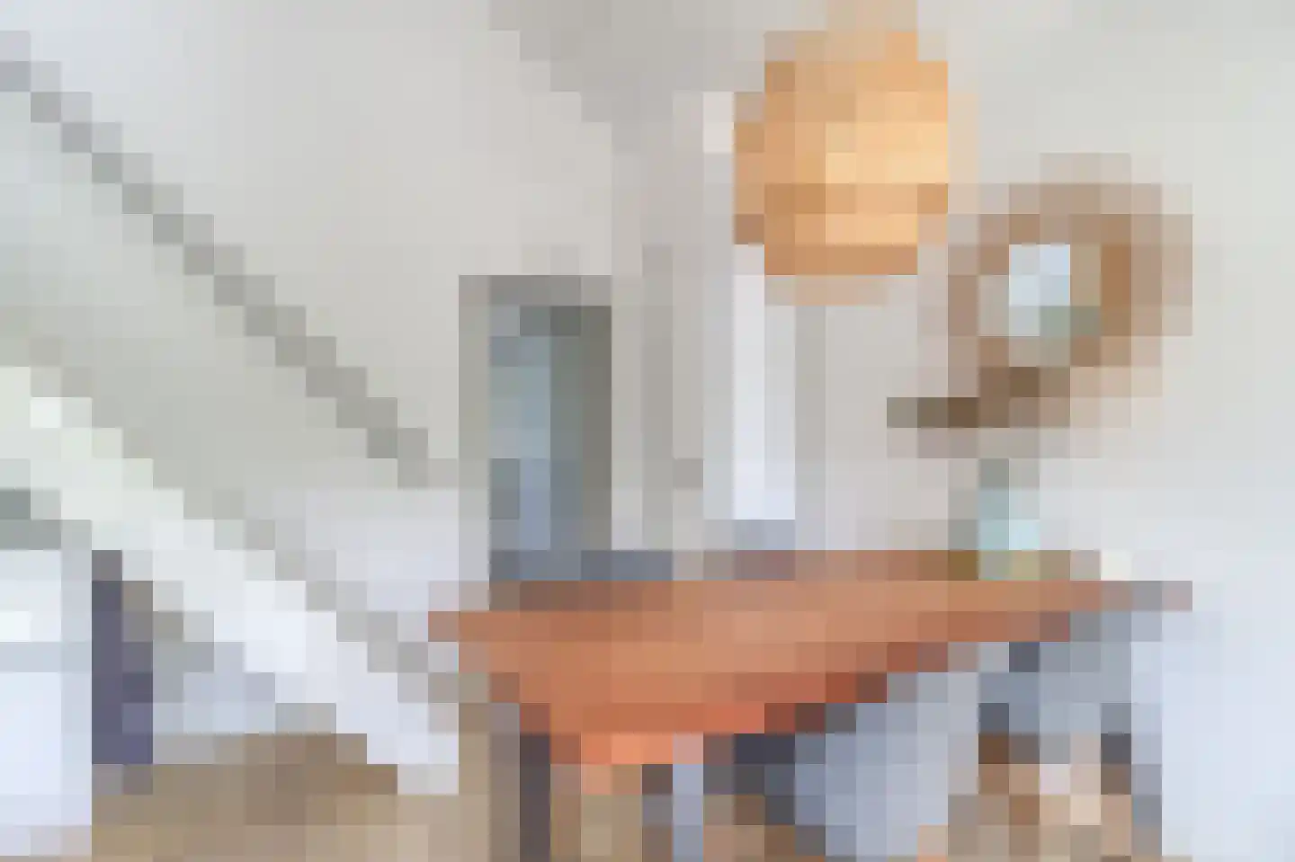 Sincfal 26 Cadzand thumbnail 8