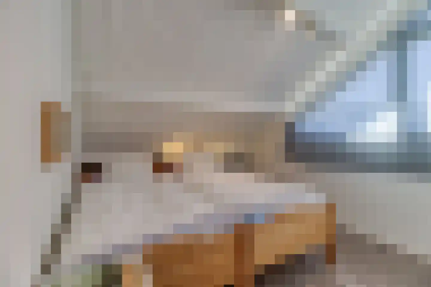 Sincfal 32 Cadzand thumbnail 16