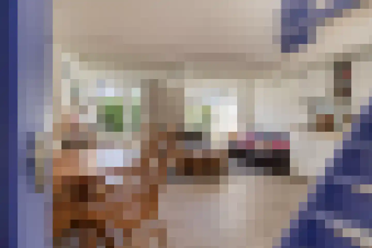 Sincfal 32 Cadzand thumbnail 4