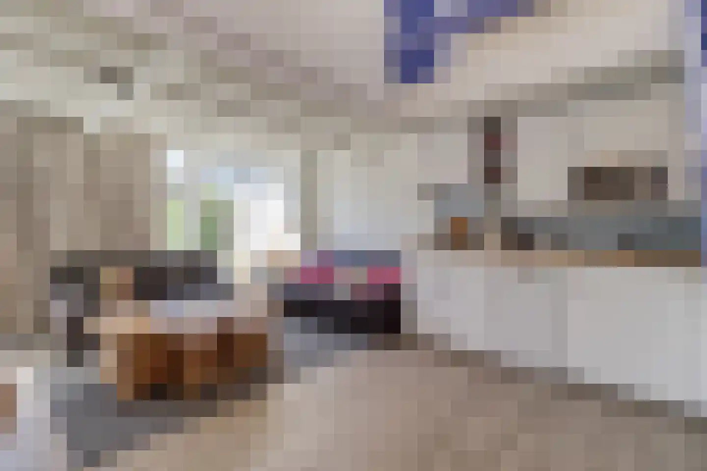 Sincfal 32 Cadzand thumbnail 6