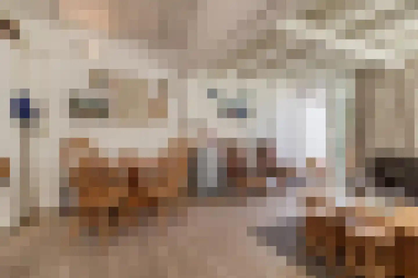 Sincfal 32 Cadzand thumbnail 7