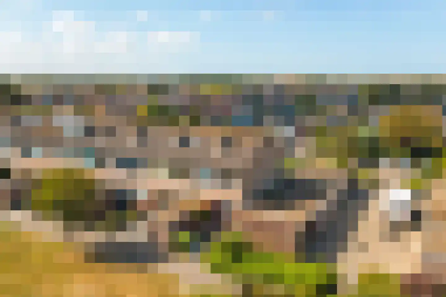 Sinckelsant 26 Callantsoog thumbnail 33