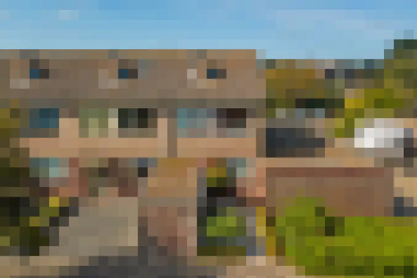 Sinckelsant 26 Callantsoog thumbnail 34