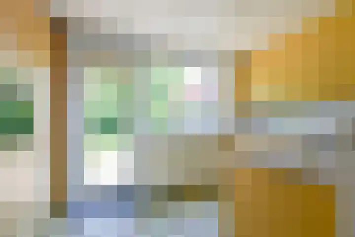 Sinckelsant 31 Callantsoog thumbnail 10