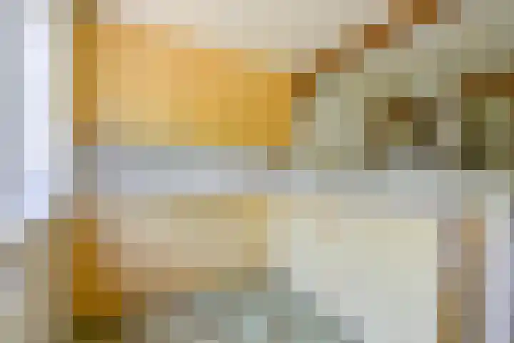 Sinckelsant 31 Callantsoog thumbnail 11