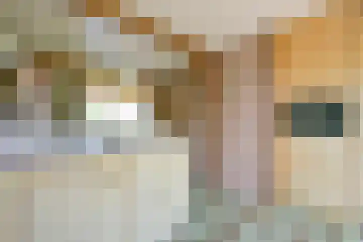 Sinckelsant 31 Callantsoog thumbnail 12
