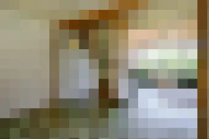Sinckelsant 31 Callantsoog thumbnail 13