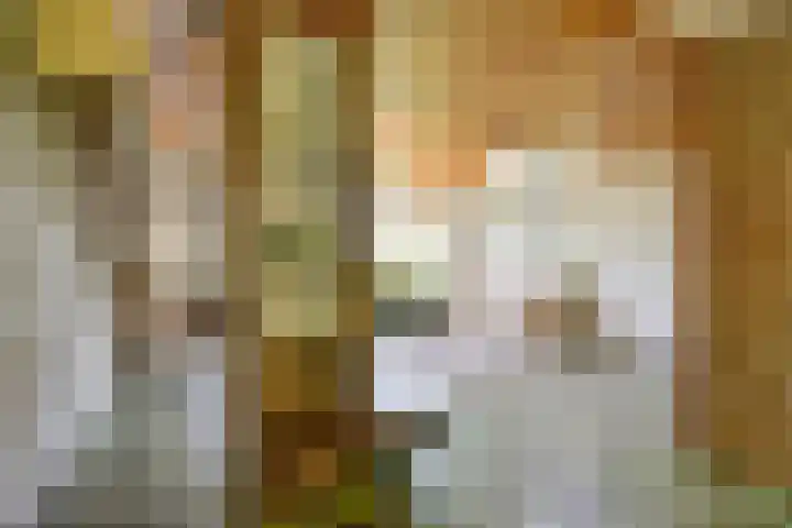 Sinckelsant 31 Callantsoog thumbnail 14
