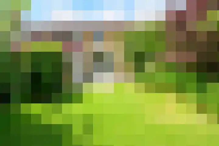Sinckelsant 31 Callantsoog thumbnail 15