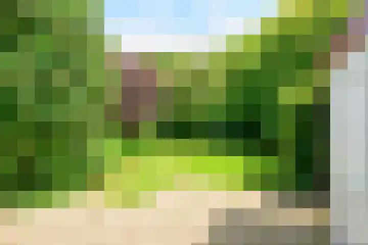 Sinckelsant 31 Callantsoog thumbnail 16