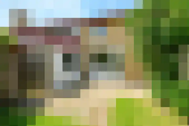 Sinckelsant 31 Callantsoog thumbnail 17