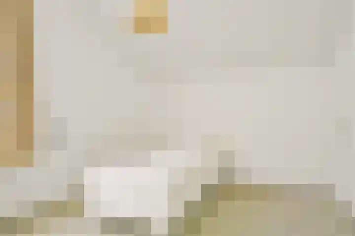 Sinckelsant 31 Callantsoog thumbnail 19
