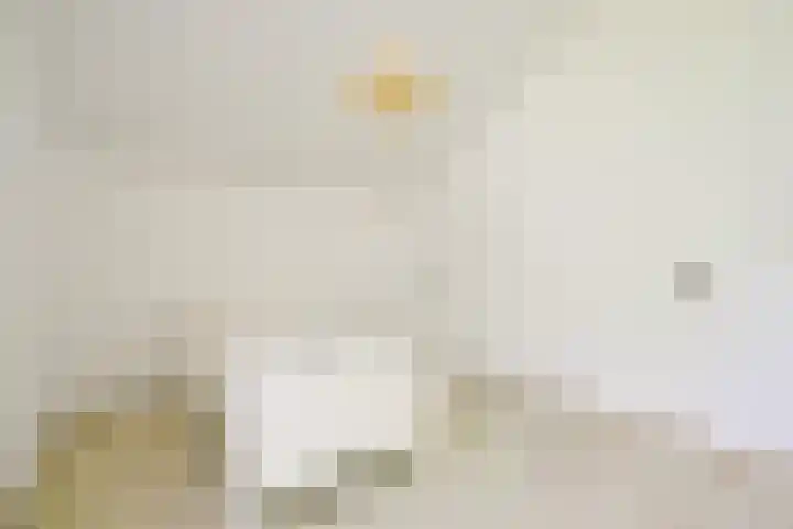 Sinckelsant 31 Callantsoog thumbnail 22