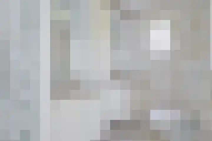 Sinckelsant 31 Callantsoog thumbnail 23