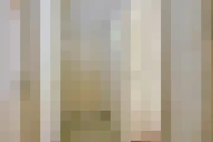 Sinckelsant 31 Callantsoog thumbnail 30