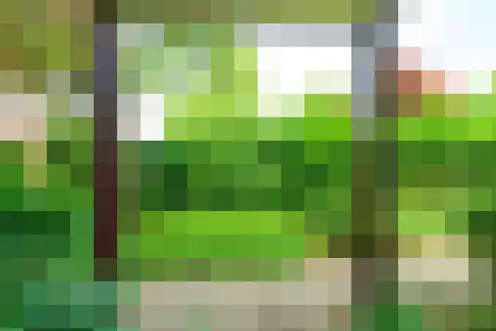 Sinckelsant 31 Callantsoog thumbnail 31