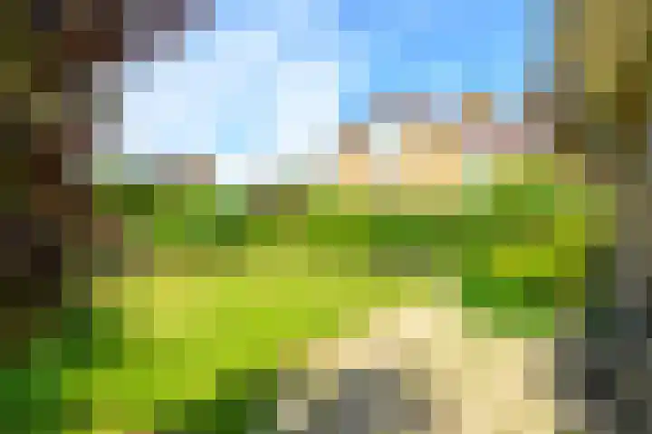 Sinckelsant 31 Callantsoog thumbnail 33