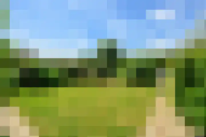 Sinckelsant 31 Callantsoog thumbnail 34