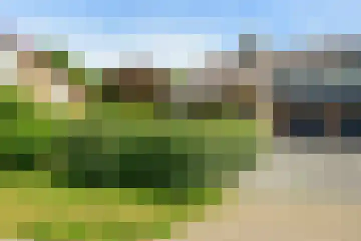 Sinckelsant 31 Callantsoog thumbnail 35
