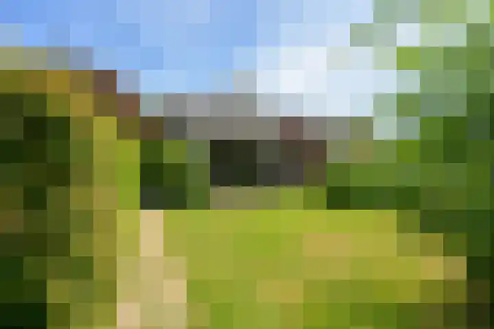 Sinckelsant 31 Callantsoog thumbnail 4