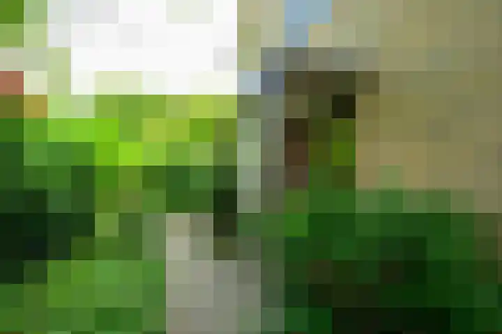 Sinckelsant 31 Callantsoog thumbnail 5