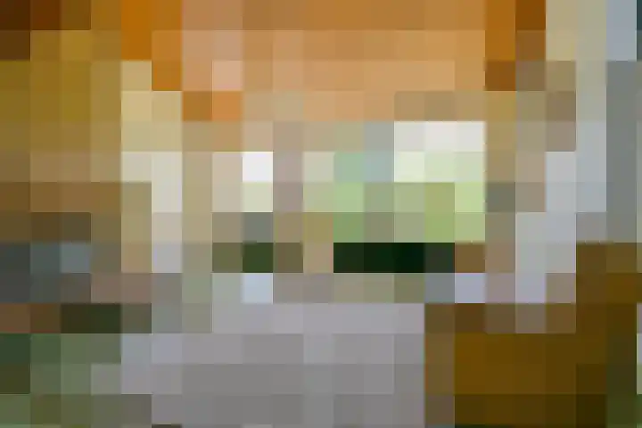 Sinckelsant 31 Callantsoog thumbnail 6